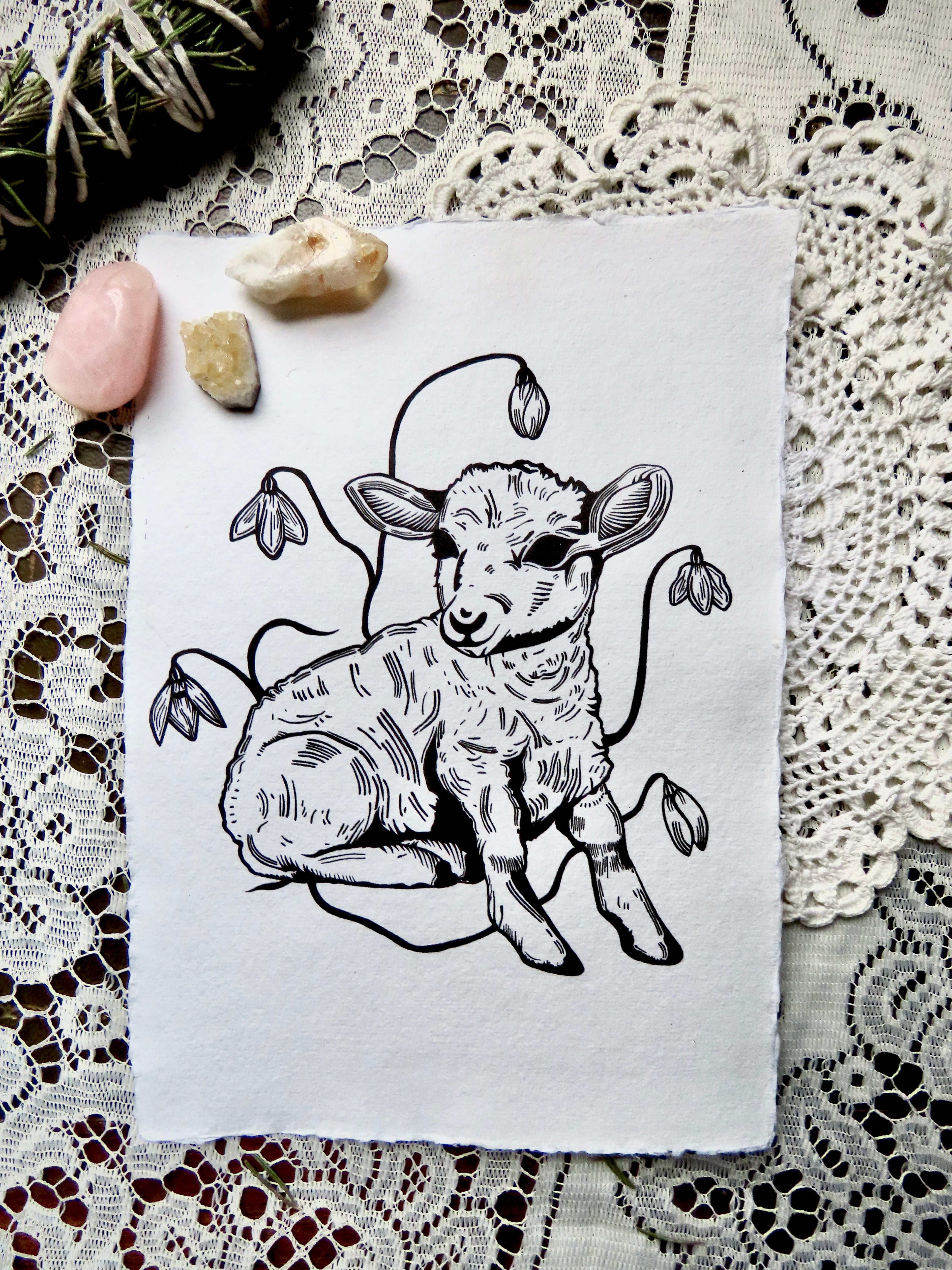 Imbolc Lamb