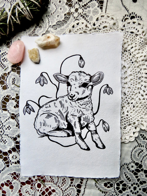 Imbolc Lamb