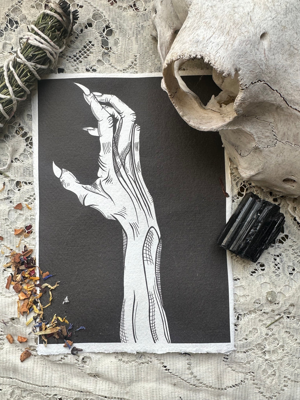 The Clawed Hand