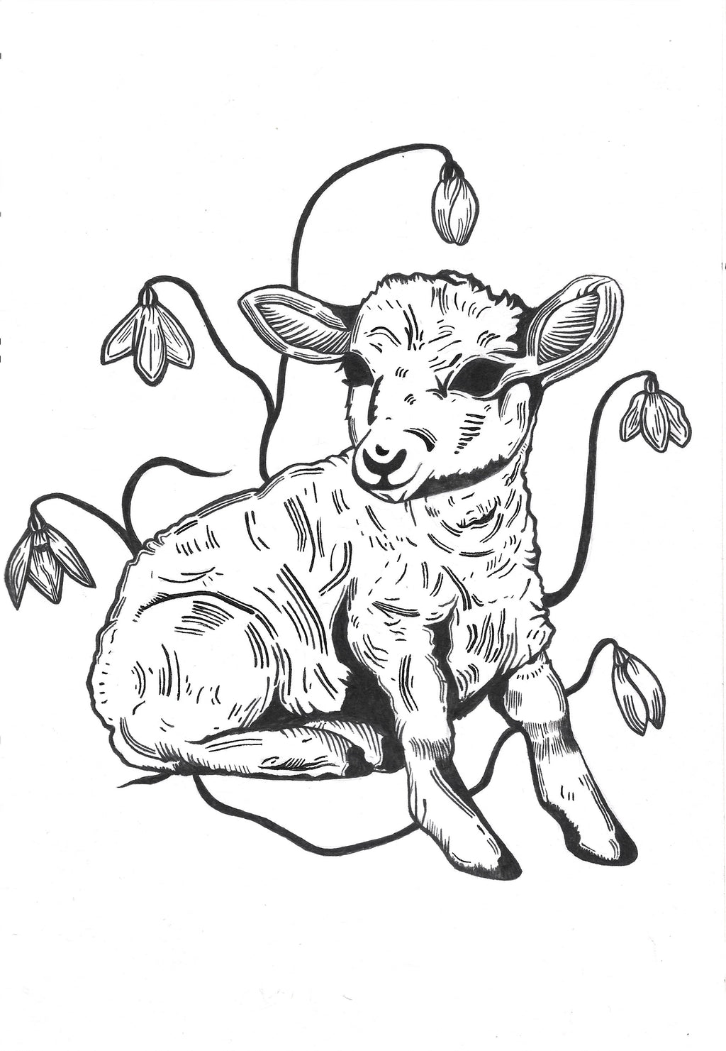 Imbolc Lamb