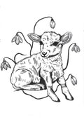 Imbolc Lamb